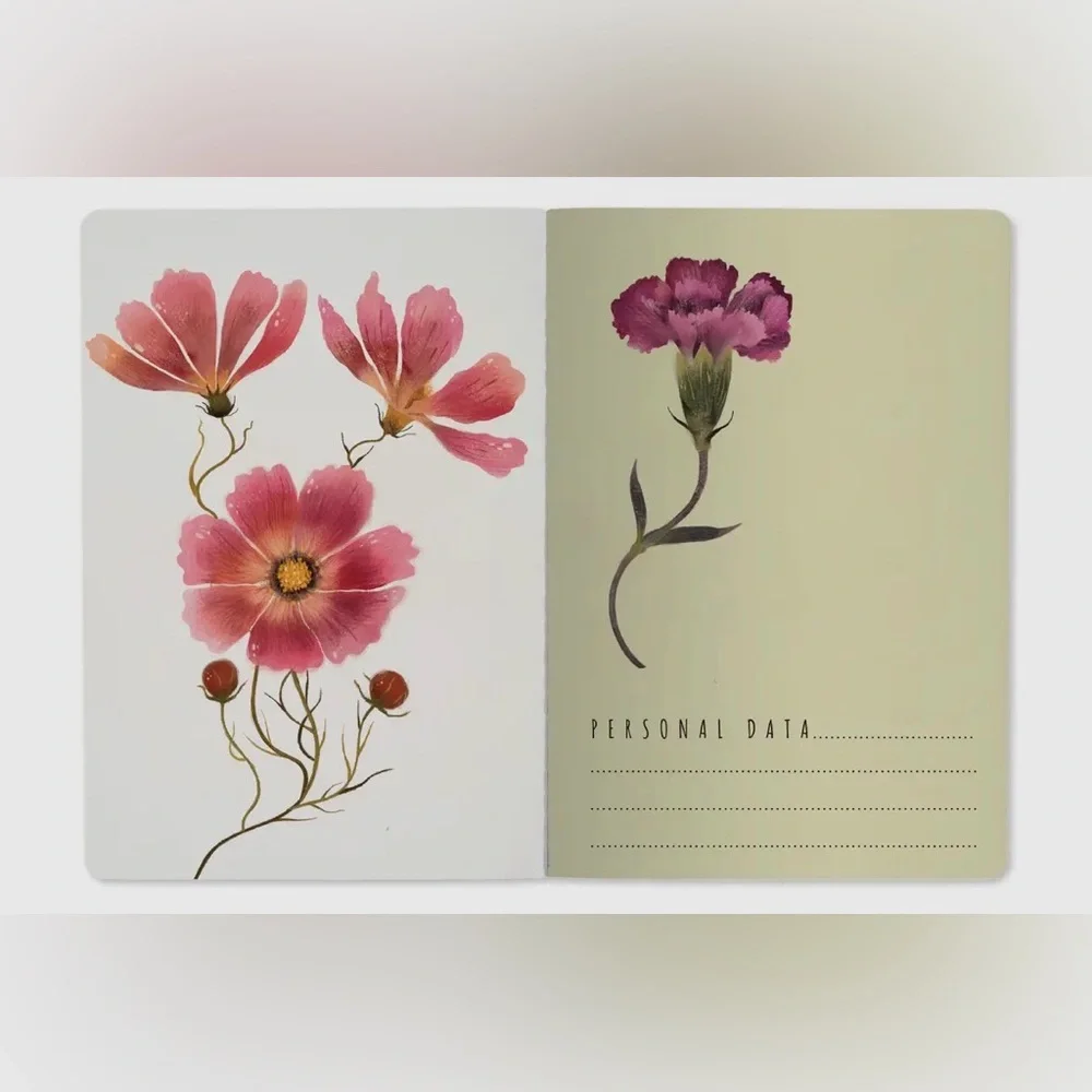 BV By Bruno Visconti these notebooks